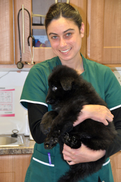 Vet Mrs Michele Hadley