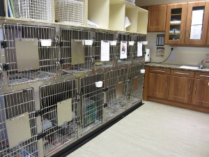 Kennel area