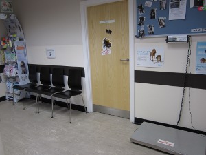 Sittvets waiting room